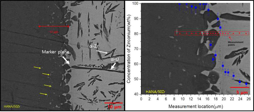 U-50Zr/HANA-6 반응층 BSE 이미지(좌), 반응층 주변 EDS 측정 결과(우)