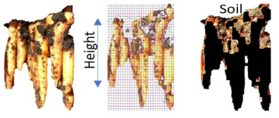Soil attached zone extraction from original image