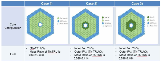 대상 노심들의 반경방향 단면도와 핵연료 형태
