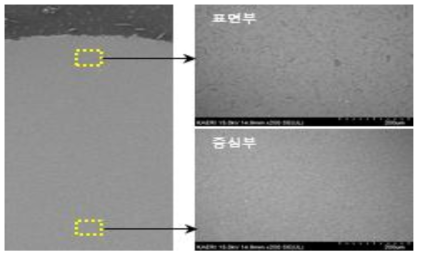 B4C 담지체 ZCB 시편의 표면부 및 중심부 SEM 미세조직 관찰