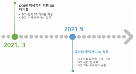 DOI 적용 로드맵