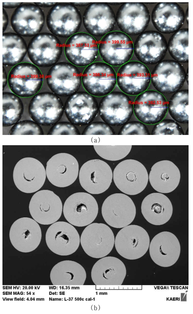 14 M-NH4OH에서 숙성 및 소결된 UO2 입자; (a) 800 ㎛ 크기 UO2 입자, (b) 연마된 반구 (cross-section) SEM 사진