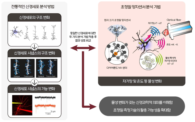 다양한 분석 기법의 결과를 통합 분석하여 물성 변화의 신경과학적 의미를 이해하고, 물성 측정기술의 활용 가능성을 확대하고자 함