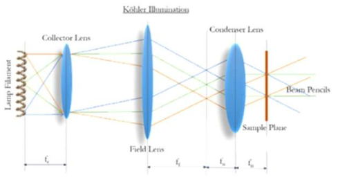 : Köhler illumination 원리