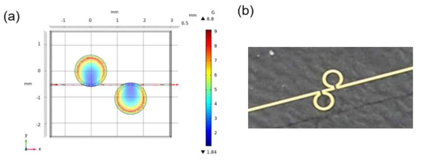 (a) COMSOL numerical simulation을 이용한 마이크로파 파워 및 공간 분포 시뮬레이션 예. (b) 금 나노공정을 통해 실제 제작된 Omega 모양의 마이크로파 회로 모습