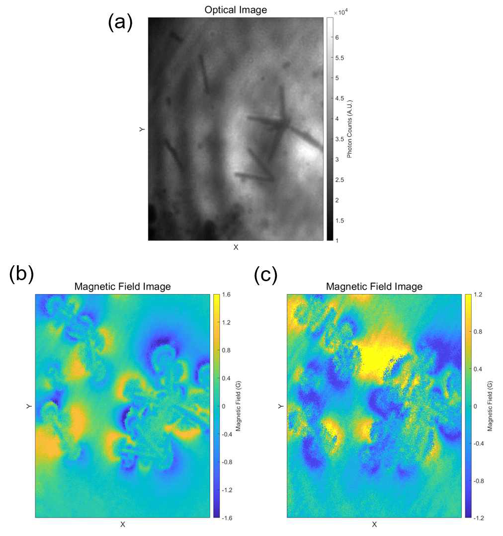 (a) Co 나노와이어 광학 이미지. (b) 양자센서를 이용하여 측정한 Co 나노와이어 자기장 이미지. 두 개의 서로 다른 방향의 NV 센터를 이용한 자기장 이미지. 이를 통해 vector magnetometry가 가능해짐