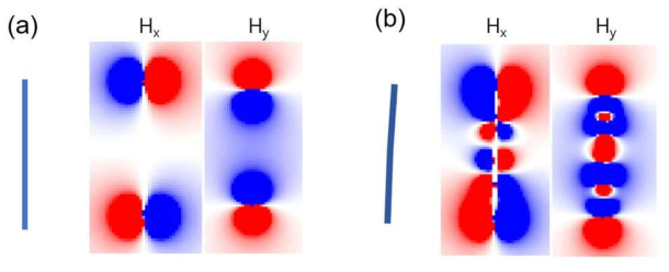 Numerical simulation을 통한 Co 나노와이어 자기장 분포 시뮬레이션 결과. (a) 일자형 원통 나노와이어의 시뮬레이션 결과. (b) 중간중간 마디가 있는 굽은 형태의 나노와이어의 시뮬레이션 결과. 작은 구조 변화가 있을 시 와이어 내부에서도 자기장이 발생함