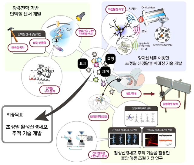 연구개발과제의 총괄 개요도