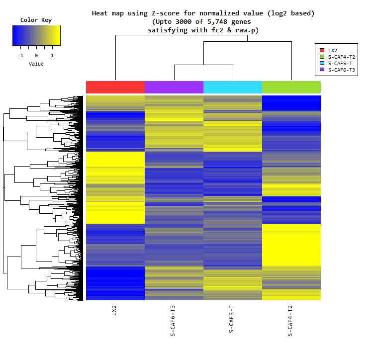 CAFs에서 RNA seq 분석