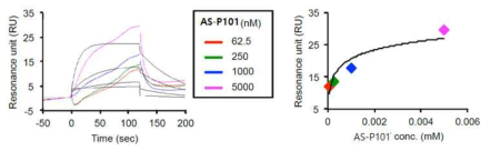 AS-P101과 Aβ 의 특이적 결합 특성 확인