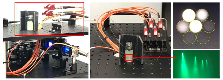 multi-site fiberphotometry 장비