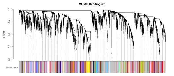 WGCNA 분석을 통한 유전자들 간의 계층적 군집화