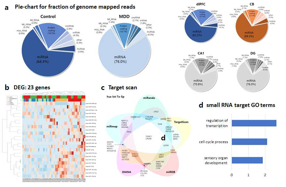 small RNA 분석 결과 개요