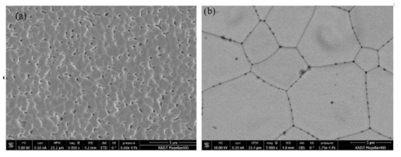 일반적 소결법 이용, (a) 순수 (b) 0.03mol% 산화철 첨가한 이산화세륨의 미세구조 SEM 사진