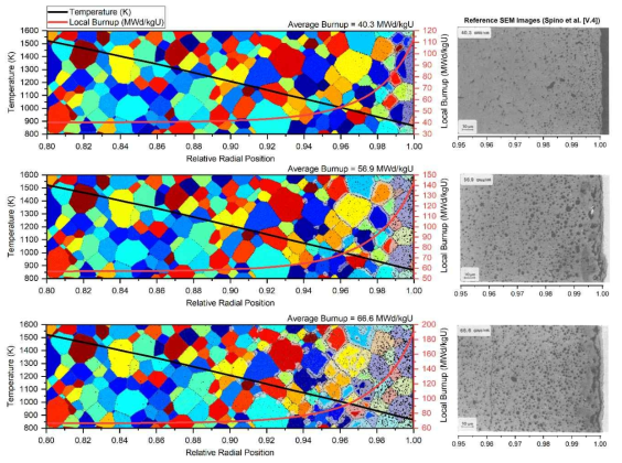 각 평균연소도 별0.8-1.0 반경방향 영역에서의 고연소도 구조 형성 및 재결정. 각각 a) 40.3 GWd/tU b) 56.9 GWd/tU and c) 66.6 GWd/tU 의 평균 연소도