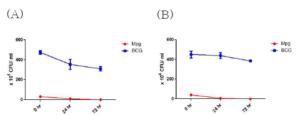 마크로파지(J774A.1) 및 수지상 세포(DC2.4)에서 Mpg와 BCG 감염 후 (10 M.O.I.) CFU assay 결과