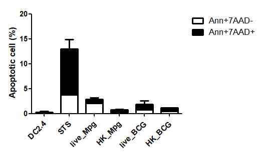 BCG 및 Mpg (live or heat killed) 감염 후, 7-AAD와 Annexin-V로 염색하여 세포 사멸 여부를 확인한 그래프