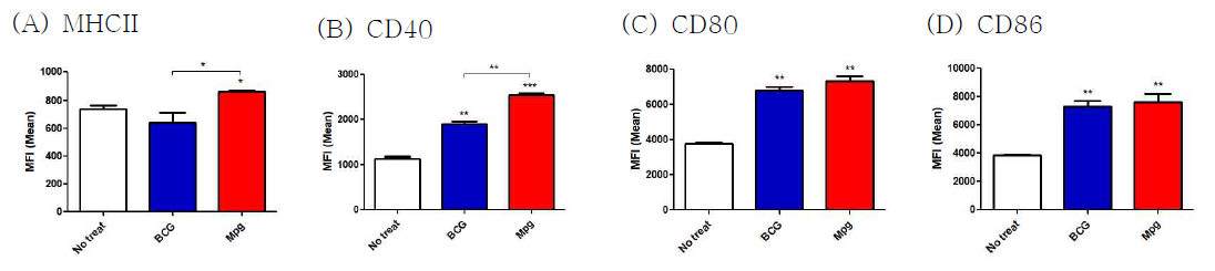 BCG 및 Mpg 감염에 의한 DC maturation 마커 발현 비교. (A) MHCII, (B) CD40, (C) CD80, (D) CD86