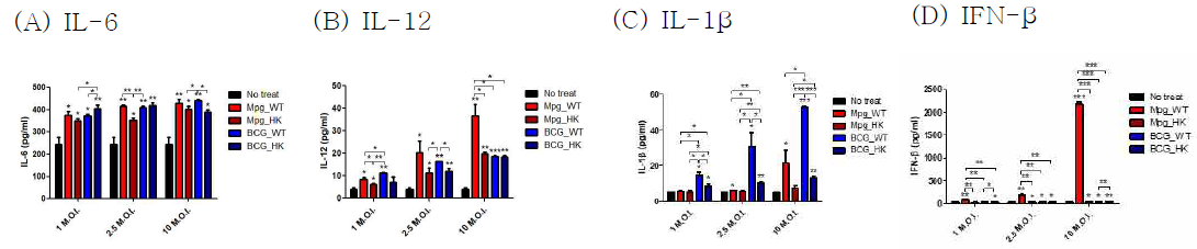 BCG 및 Mpg 감염 시 (live or heat killed), 수지상 세포 배양액 내 사이토카인 발현량을 ELISA로 측정한 결과. (A) IL-6, (B) IL-12, (C) IL-1β, (D) IFN-β