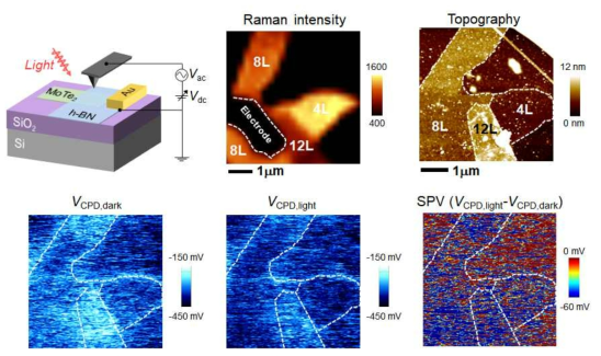 Kelvin probe force microscopy를 활용한 소자 거동 메커니즘 조사 결과