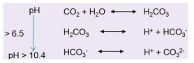 이산화탄소 흡수에 따른 pH별 염의 형태