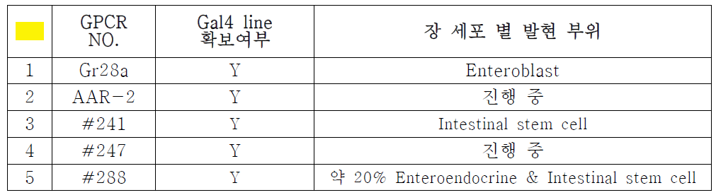 선별된 ISC 조절 관련 수용체의 프로모터에 의해서 조절되는 GAL4 line 확보 및 장 세포의 발현 부위 특정