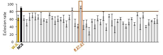 genome wide screening을 통한 Aging-related SPIF 조절 microbiome 발굴