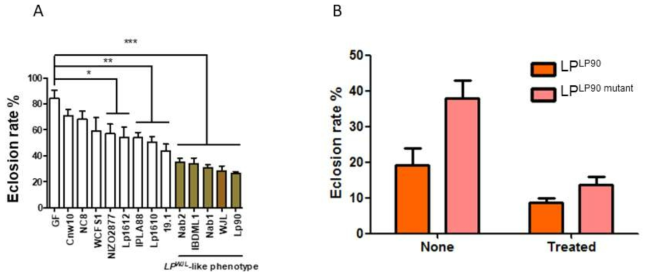 Lactobacillus plantarum strains이 pupal eclosion rate에 미치는 영향과 균 유래 metabolite에 의한 Host aging 조절