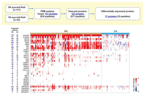류마티스 관절염과 골관절염 활액에서 PRM 단백체 분석 수행