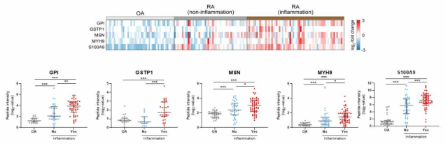 C-반응성 단백질 (c-reactive protein)을 기준으로 결정된 염증 수준을 이용하여 선별된 단백질