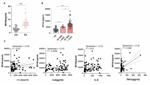 활액 MYH9 수준과 관절염 염증 수준과의 상관관계 분석