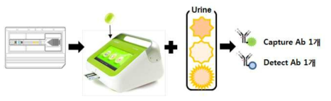 Soluble CD14를 활용한 Rapid detection system