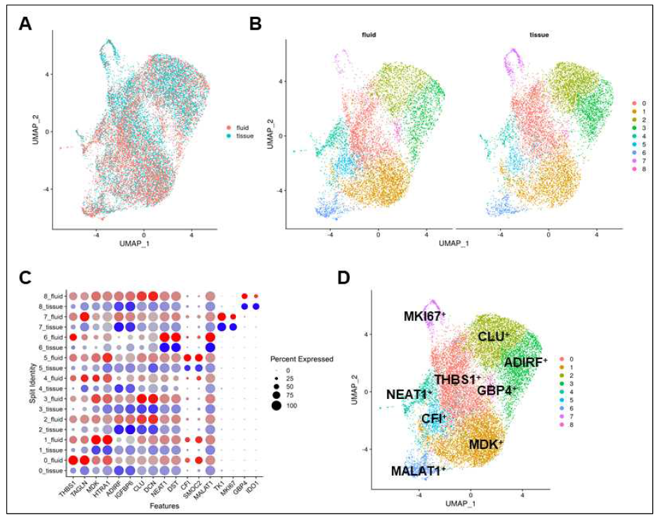 활막세포에 대한 single cell RNA-sequencing 분석 결과