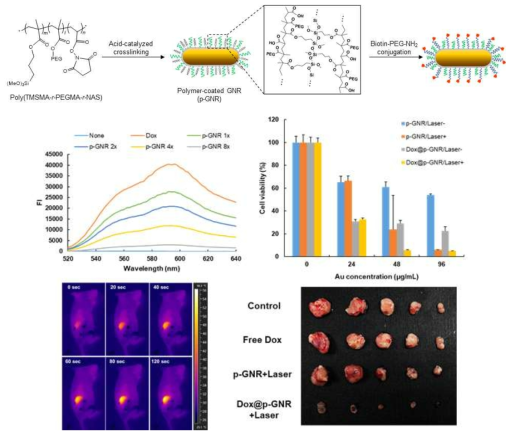 Schematic depiction of the procedure for the preparation and antitumor efficacy of p-GNRs and bt-p-GNRs