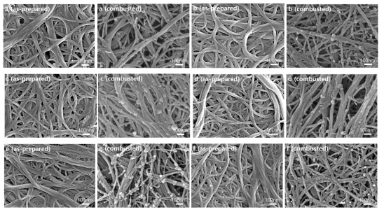 CNT 함량이 (a) 50, (b) 60, (c)70, (d) 80, (e) 90, (f) 100 wt%인 CNT-PEMA 복합필름의 태우기 전/후 SEM 이미지