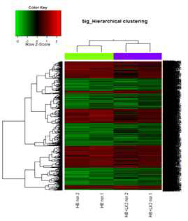 cDNA microarray