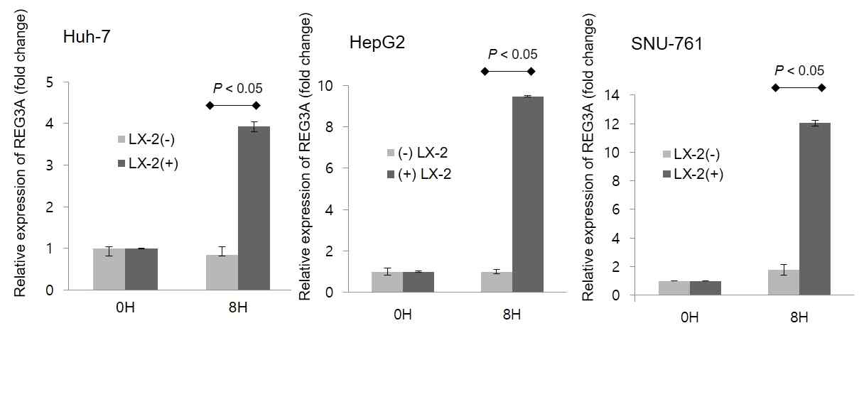 간세포암과 간성상세포의 coculture에 의하여 upregulation된 REG3A mRNA expression