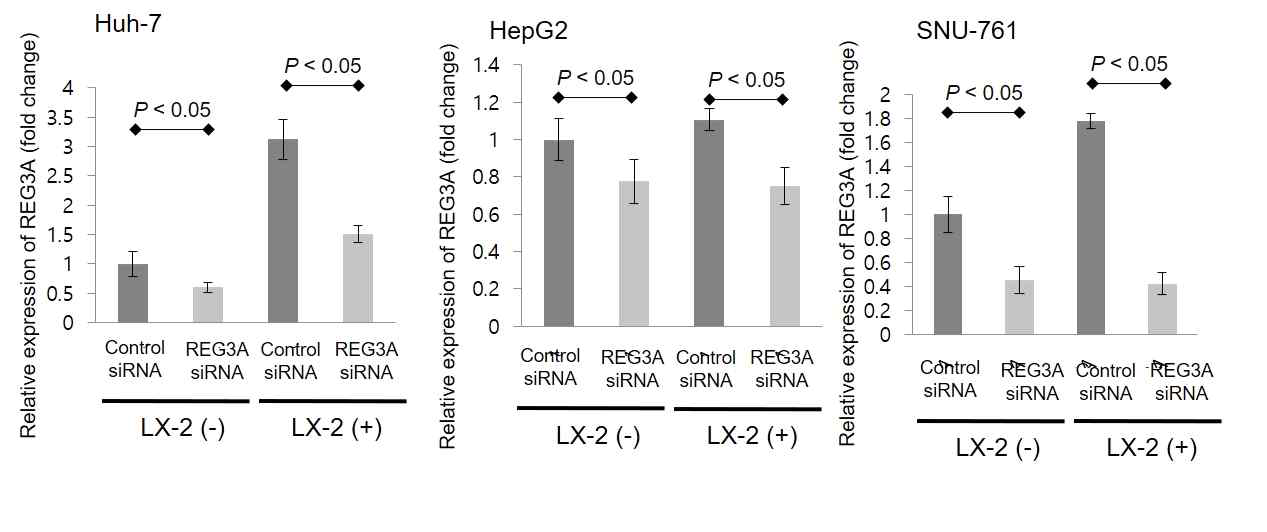 REG3A siRNA transfection 후 real-time PCR을 통해 확인한 REG3A mRNA level