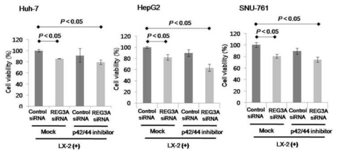 간세포암과 간성상세포의 coculture 조건에서 p42/44 inhibitor 처리 후 HCC cell proliferation의 변화 양상 (MTT assay)