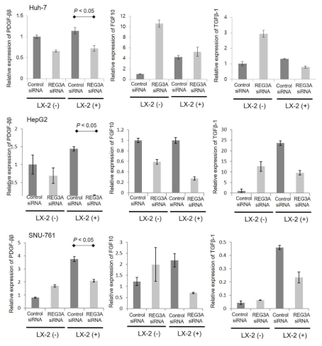 간성상세포와 공배양된 간세포암에서 REG3A 억제에 의한 PDGF-bb 발현의 변화 양상 (Real-time PCR)