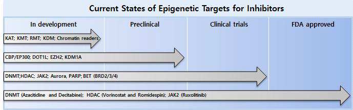 에피지놈 조절인자를 타겟으로 하는 암 치료제의 연구진행도