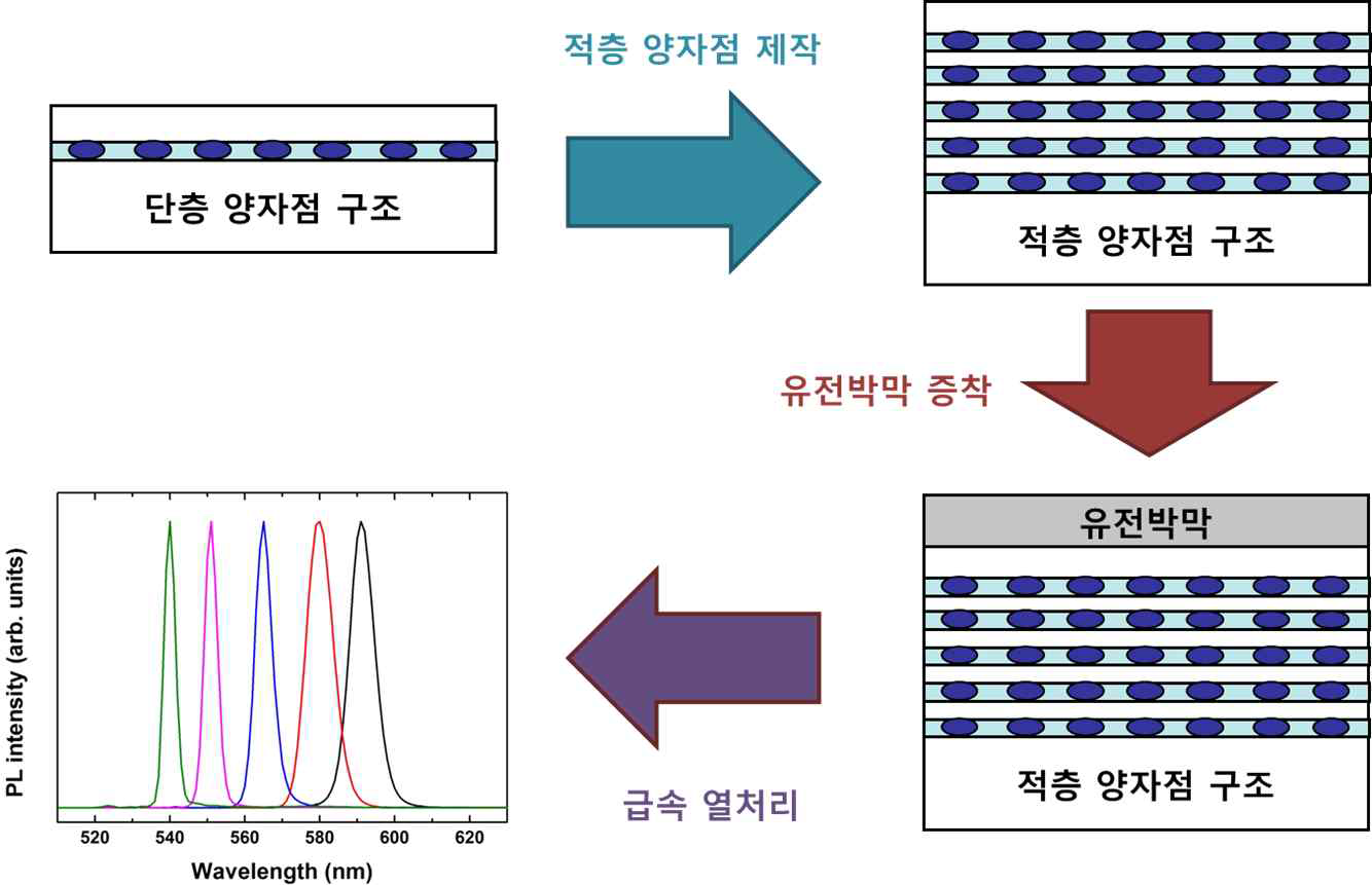 [보고서]선택적 파장 제어를 이용한 다파장 양자점 제작