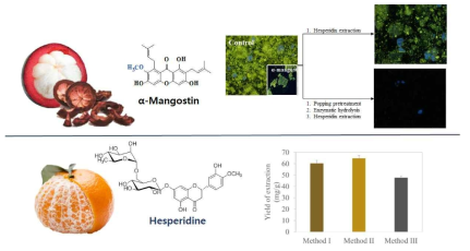 망고스틴껍질과 귤껍질 폐기물로부터 고부가가치 물질 생산