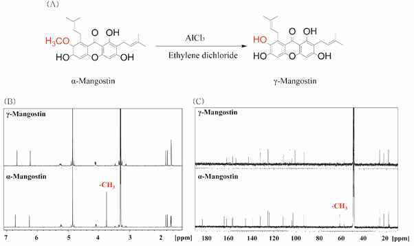 (a) α-mangostin으로 부터 γ-mangostin 생산 과정, (b)γ-mangostin의 1H NMR스펙트럼, 및 (c)γ-mangostin의 13C NMR 스펙트럼