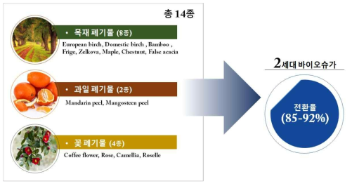 14종의 다양한 국내 바이오매스 폐기물로부터 2세대 바이오슈거 생산