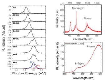 이차원 반도체에 온도에 따른 PL 특성 분석 결과(왼쪽)와 4K에서 수행한 micro-PL spectrum (오른쪽)