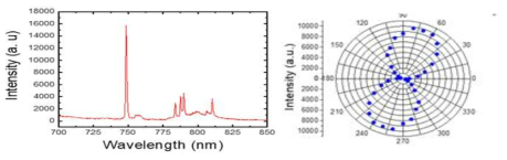 나노 피라미드 패턴위 이차원 원자층 물질에서의 PL 스펙트럼(왼쪽)과 편광 분석 (오른쪽) 결과