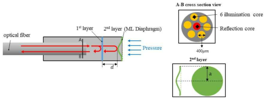 Sensitivity Curve (a) Pressure vs ML intensity (b) Tire Stiffness vs pressure