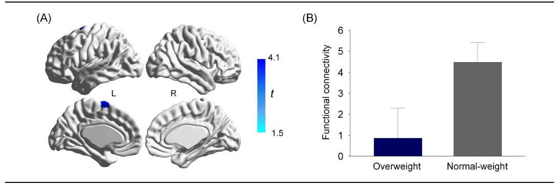 Comparison of functional connectivity extracted from the significant cluster between the overweight group and the normal-weight group