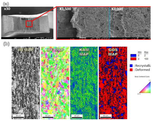인장 변형된 시편의 미세조직 분석 (a) 인장시편 파면 (b) EBSD 분석; IPF, KAM, GOS